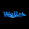 Logo image for Welle Casino